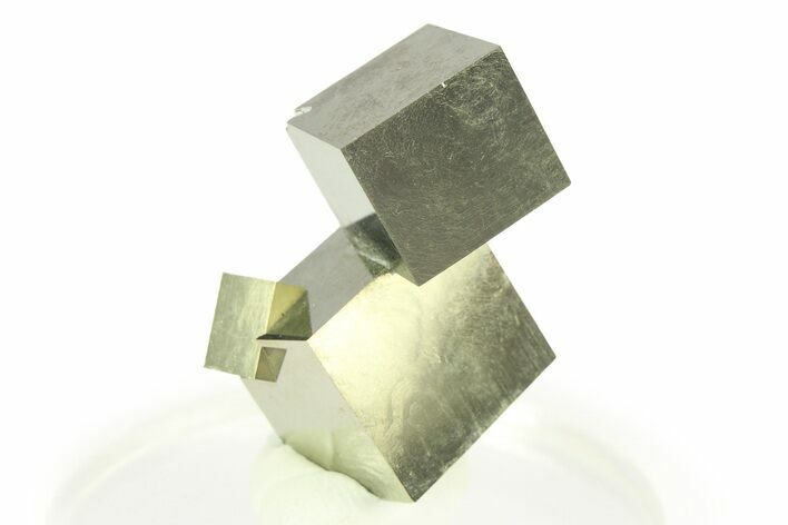 Shiny, Natural Pyrite Cube Cluster - Navajun, Spain #307078